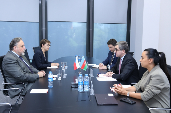 Azerbaijan, Czech Republic discuss prospects for boosting mutual exports