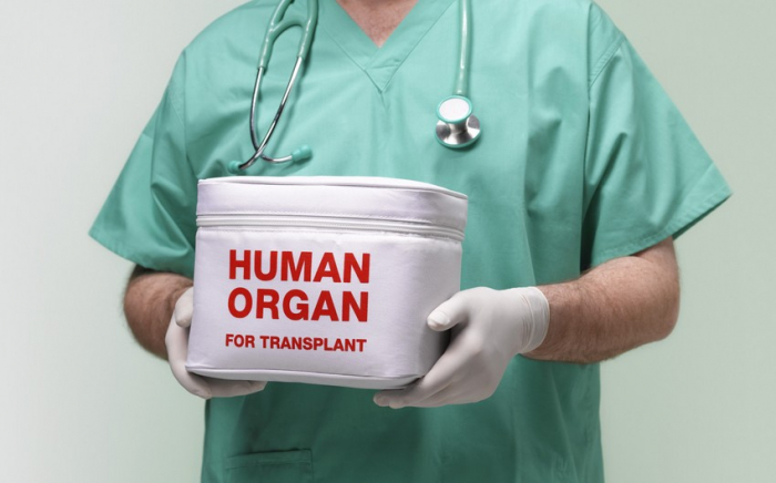Donor orqanların idxalı və ixracı qaydası təsdiqlənib Donor orqanların idxalı və ixracı qaydası təsdiqlənib