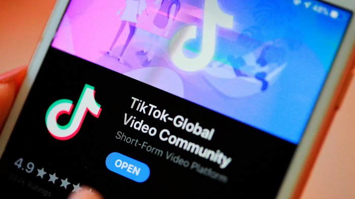    “TikTok”un Android versiyasında təhlükəli boşluq aşkarlanıb  
   