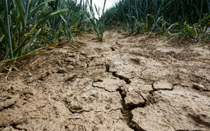 France: la sécheresse devrait coûter entre 1,6 et 2,4 milliards d