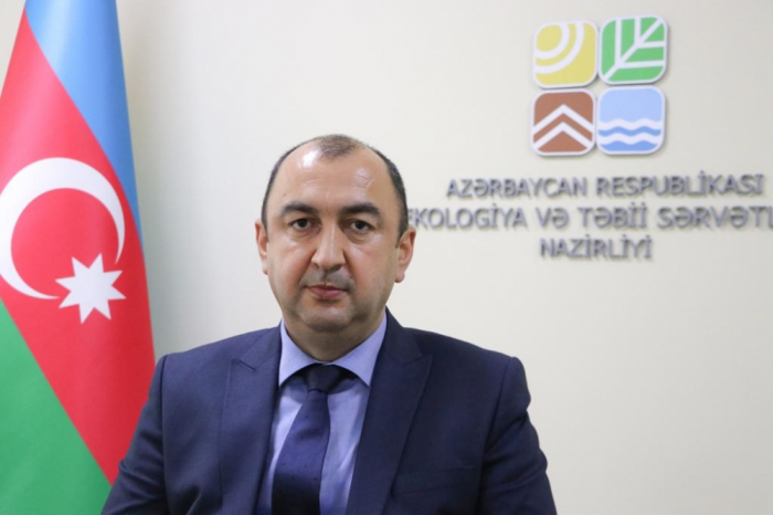 Nazir müavini: "Ermənilərin törətdiyi yanğınlar ekosistemimizə böyük zərər vurur" Nazir müavini: "Ermənilərin törətdiyi yanğınlar ekosistemimizə böyük zərər vurur"