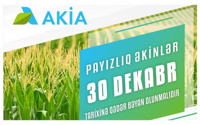 Payızlıq əkin bəyanlarının qəbuluna başlanılıb