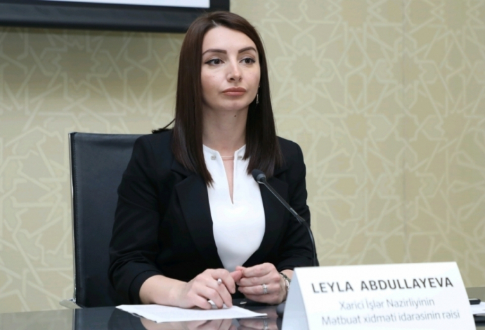       Leyla Abdullayeva:    Azərbaycan beynəlxalq öhdəliklərinə ciddi yanaşır     
