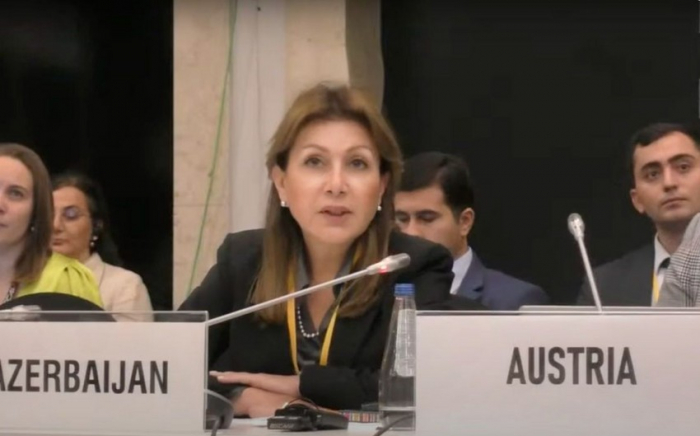   Vertreter Aserbaidschans reagierte auf die unbegründeten Behauptungen des Vertreters Armeniens auf der OSZE-Vorsitzes   