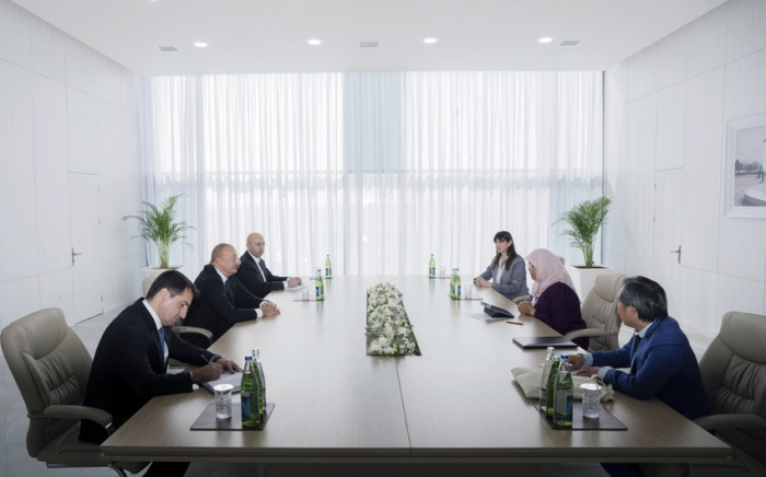  Präsident Ilham Alijew empfing Exekutivdirektorin des UN-Regelungsprogramms  - FOTO  