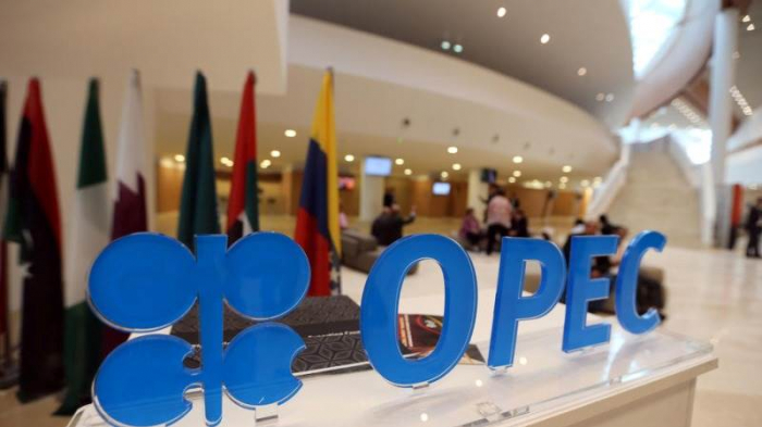 OPEC+ to cut oil output by 2 mln bpd from November