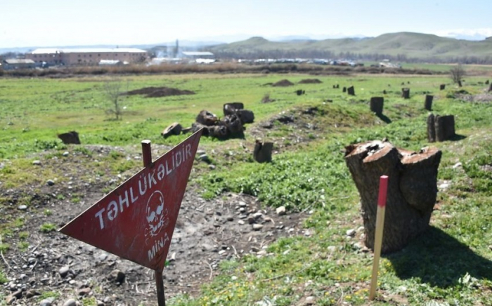  Los armenios causaron más de 16 mil millones de manat de daños ambientales a Azerbaiyán 