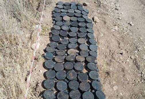   Azerbaijan neutralizes next mines detected in Kalbajar and Dashkasan -   VIDEO    