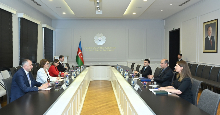 Azerbaijan, Georgia discuss prospects for cooperation in field of education