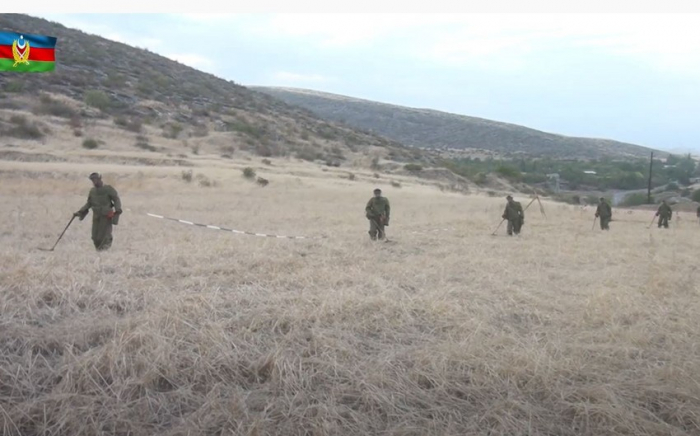   Ministerio de Defensa  : "Desminaron más de 27.000 hectáreas de terreno" -  VIDEO  