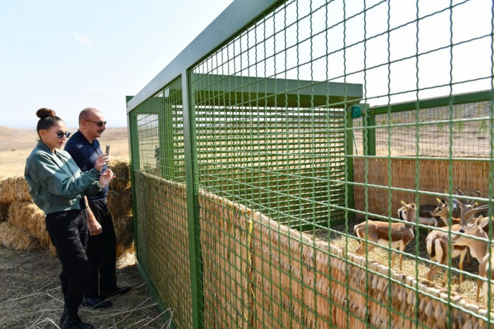 Azerbaijani President and First Lady attend ceremony to release 18 gazelles to territory of Jabrayil district