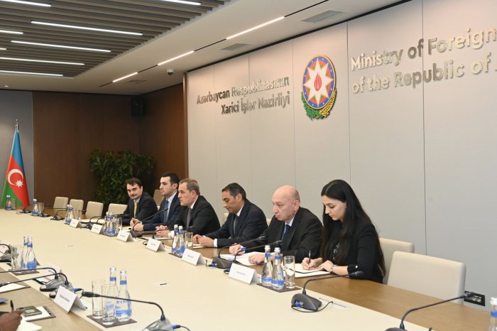   Azerbaijan and South Africa discuss political cooperation  