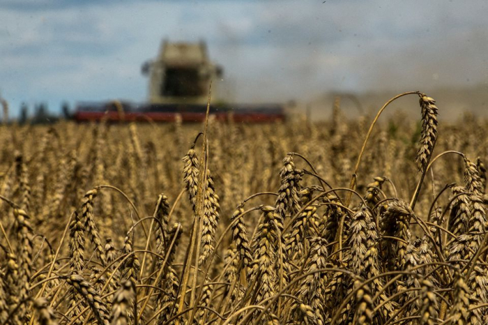 U.N., Turkey, Ukraine press ahead with Black Sea grain deal despite Russian pullout