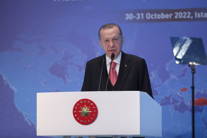 Türkiye to continue grain deal efforts as Russia hesitates - Erdoğan