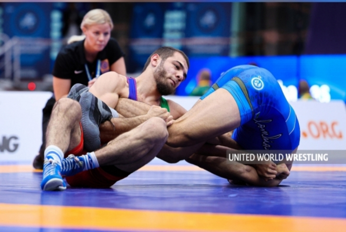   Azerbaijani freestyle wrestler wins world silver  