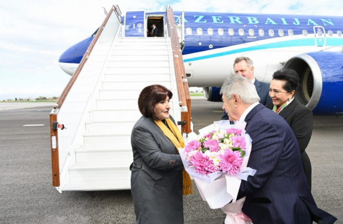   Azerbaijani Parliament speaker arrives in Uzbekistan for working visit   