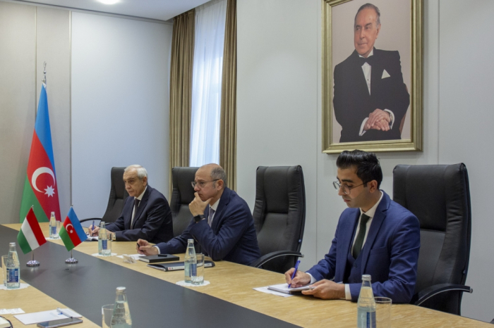 Azerbaijan, Hungary discuss energy cooperation 