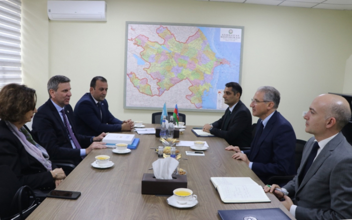 Azerbaijan and FAO mull prospects for cooperation in environmental protection