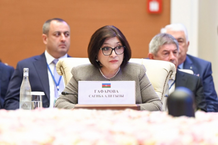 Speaker of Azerbaijani Parliament attends IPA CIS Council`s meeting