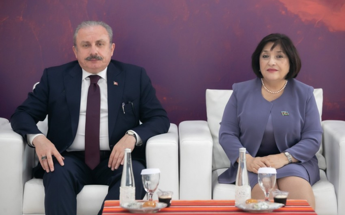 Sahibə Qafarova türkiyəli həmkarı ilə görüşüb