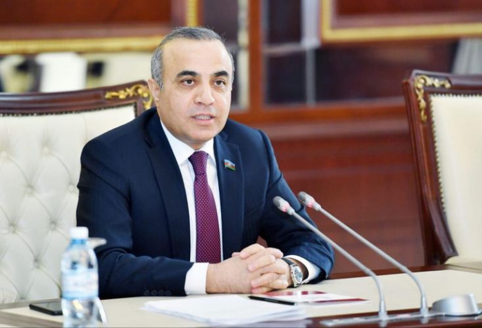 Erməni diasporunun sözçüsü səviyyəsinə düşən Makron - Deputatın şərhi Erməni diasporunun sözçüsü səviyyəsinə düşən Makron - Deputatın şərhi