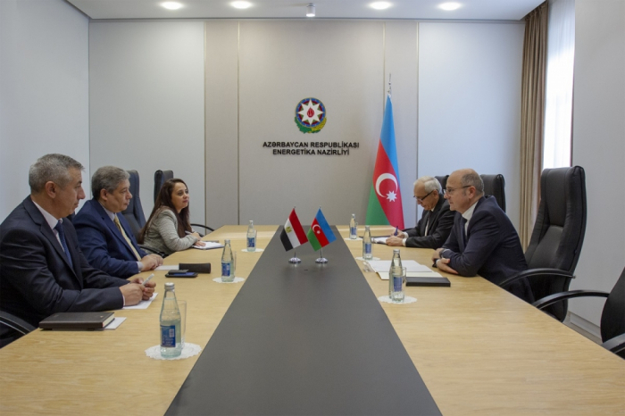 Azerbaijani energy minister meets with Egyptian ambassador