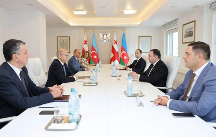 Azerbaijan’s Energy Minister meets with Georgian PM