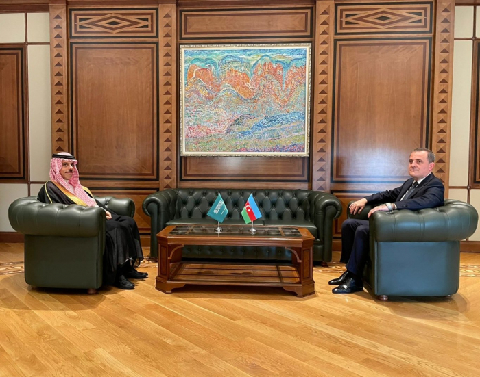   Azerbaijani, Saudi Arabian FMs hold meeting   