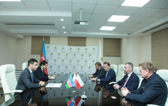 Azerbaijan, Poland discuss organization of business missions