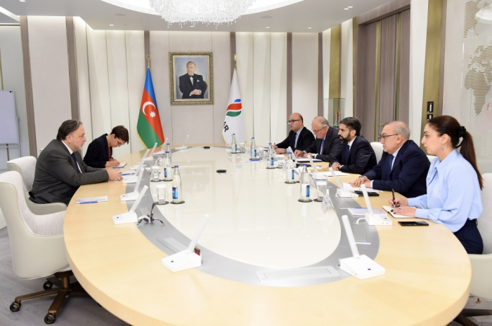  Aserbaidschan und Tschechien erwägen strategische Partnerschaften  