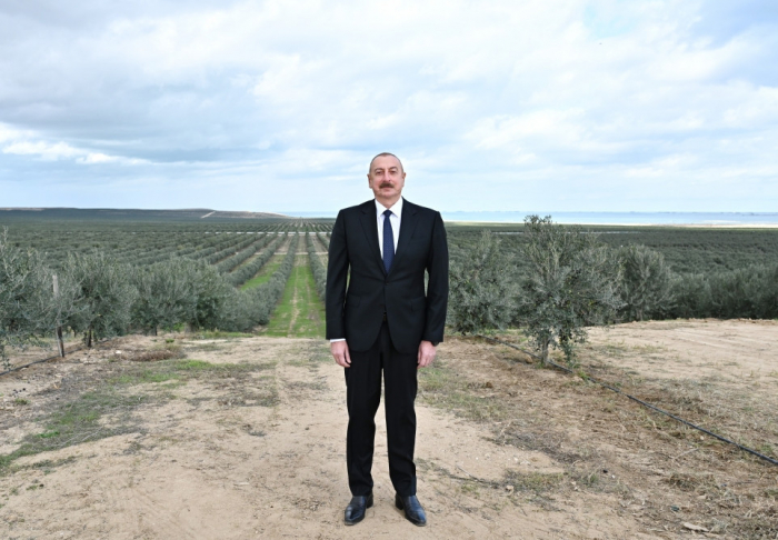 "Ölkədə minlərlə iş yeri yaratmaq planlarımız var" - İlham Əliyev "Ölkədə minlərlə iş yeri yaratmaq planlarımız var" - İlham Əliyev