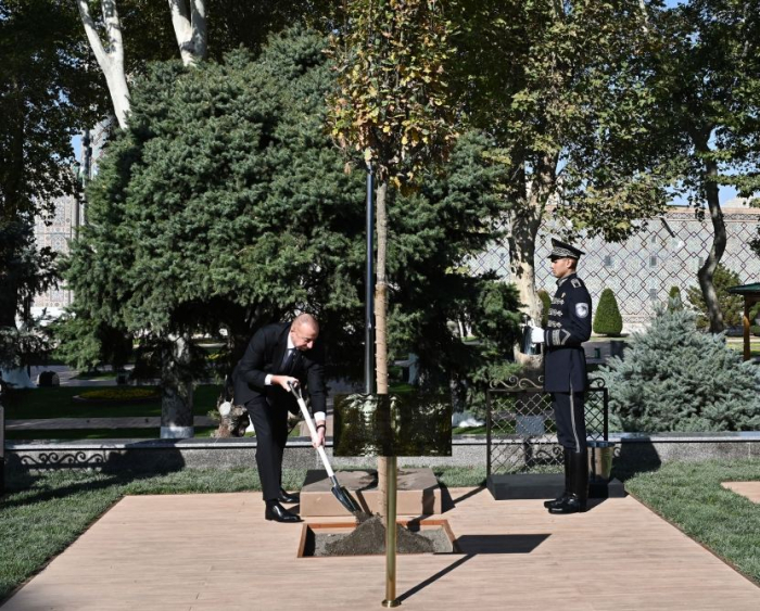 President Ilham Aliyev attends tree-planting ceremony in Samarkand 