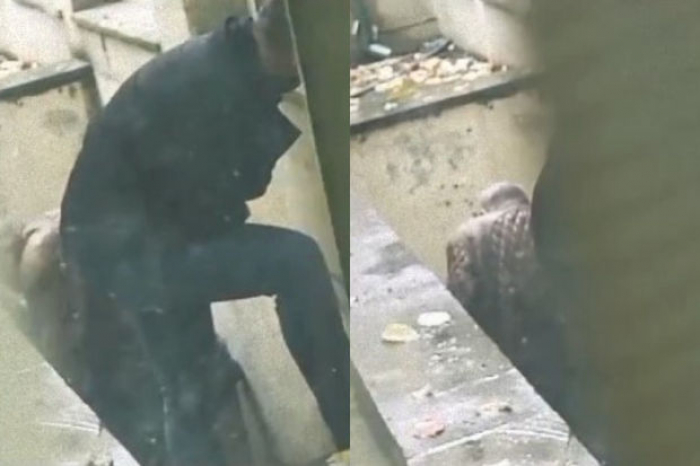 Kliniki Tibbi Mərkəzin həyətində narkomanlar peyda oldu - VİDEO
Kliniki Tibbi Mərkəzin həyətində narkomanlar peyda oldu - VİDEO
