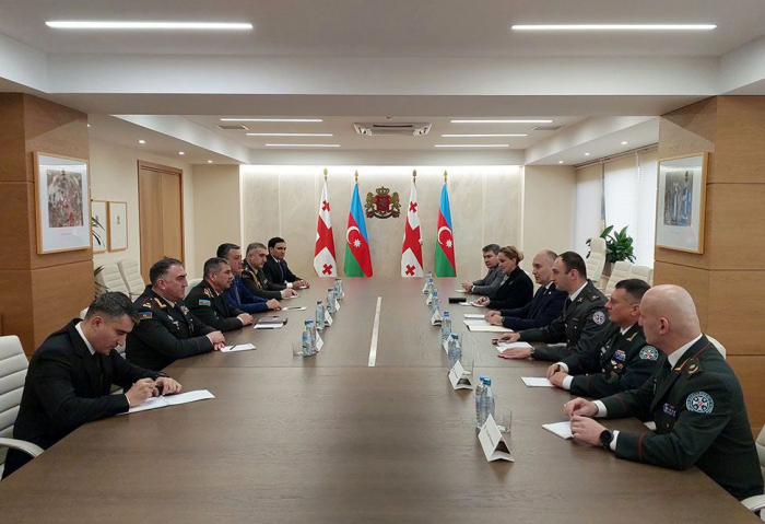 Azerbaijani, Georgian defense ministers hold meeting 