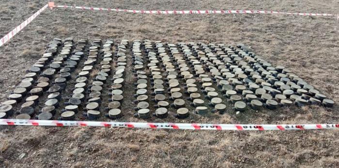  Armenian-made anti-personnel mines neutralized in direction of Saribaba high ground   