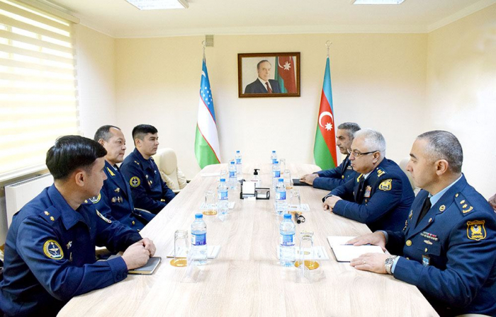 Air Forces of Azerbaijan and Uzbekistan mull expansion of cooperation 