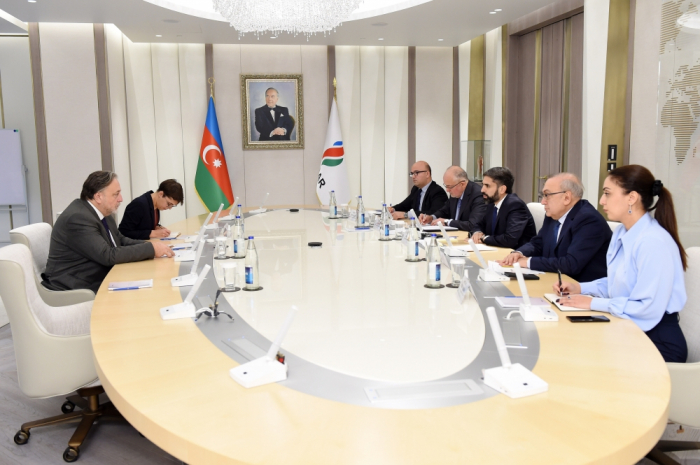 Azerbaijan, Czech Republic mull strategic partnership ties