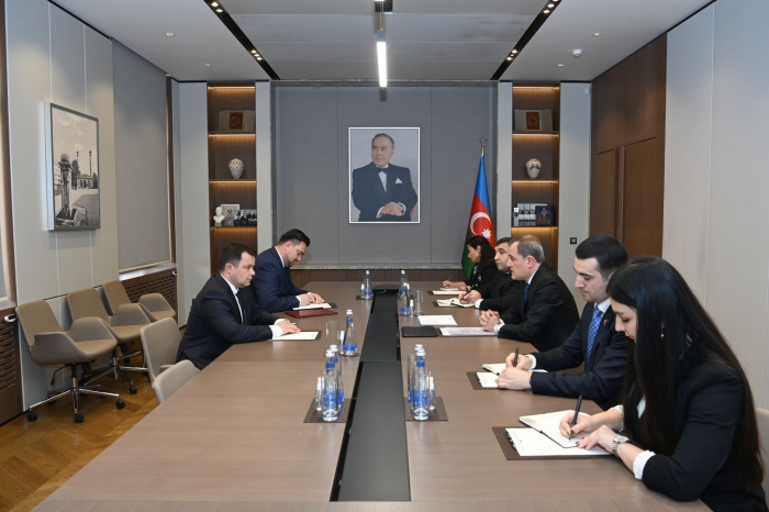   Azerbaijani FM receives newly-appointed ambassador of Moldova  