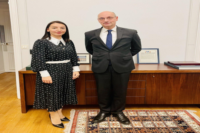   La embajadora de Azerbaiyán en Francia se reúne con el director del departamento del Ministerio de Relaciones Exteriores de Francia  