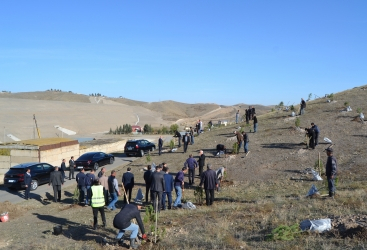 Con motivo del Día de la Victoria, se celebró una campaña de plantación de árboles en el distrito de Fuzuli