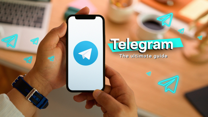 “Telegram”da istifadəçi adı rekord qiymətə satıldı  
