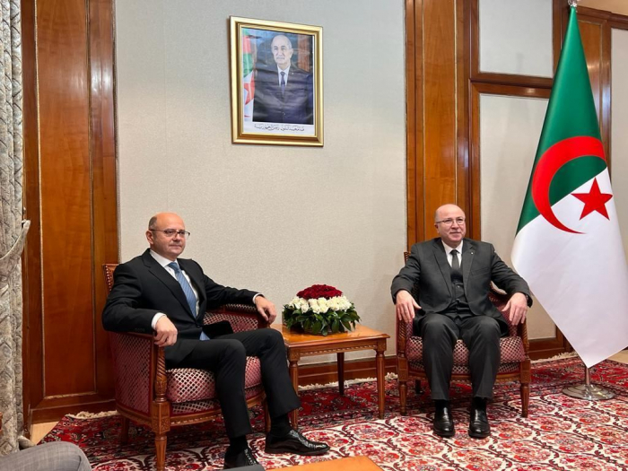   Azerbaijan, Algeria to boost energy cooperation – minister  