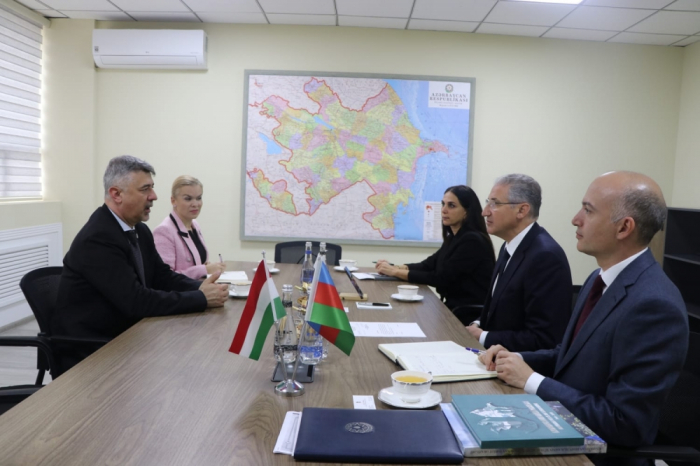 Azerbaijan, Hungary discuss issues of environmental protection