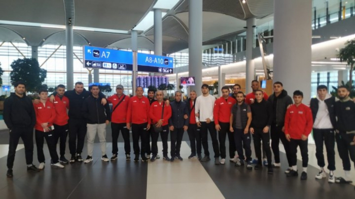 Azerbaijani boxers to embark on international training camp in Madrid