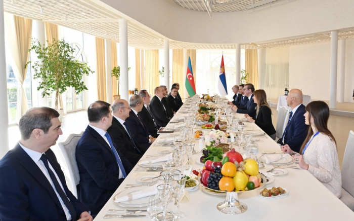    Vuçiçin şərəfinə nahar verilib   