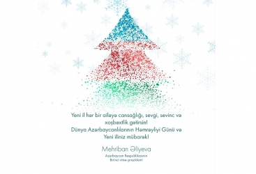   First Vice-President Mehriban Aliyeva made post on occasion of World Azerbaijanis Solidarity Day  