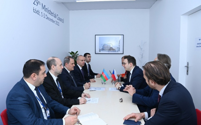 Los jefes de asuntos exteriores de Azerbaiyán y la República Checa se reunieron