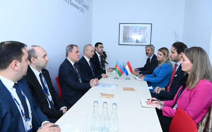   Jeyhun Bayramov traf sich mit dem Außenminister der Niederlande   - FOTO    
