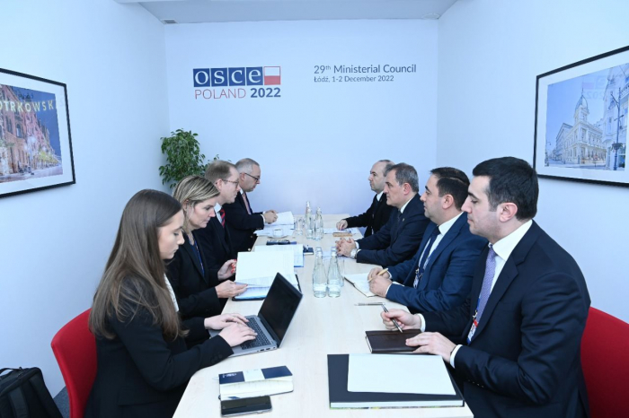 Azerbaijani, Swedish FMs meet in Poland 