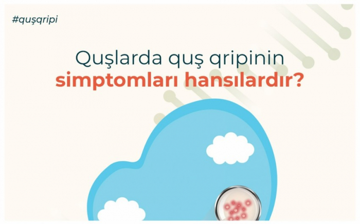 AQTA quş qripi ilə bağlı əhaliyə xəbərdarlıq edib AQTA quş qripi ilə bağlı əhaliyə xəbərdarlıq edib